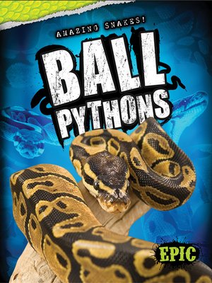 cover image of Ball Pythons